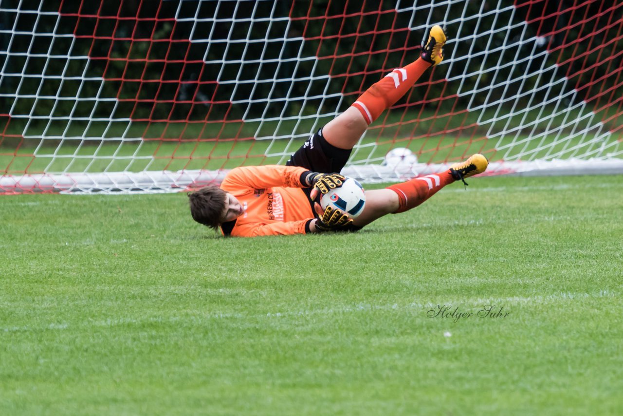 Bild 441 - Frauen Kieler MTV - SV Henstedt Ulzburg 2 : Ergebnis: 2:6